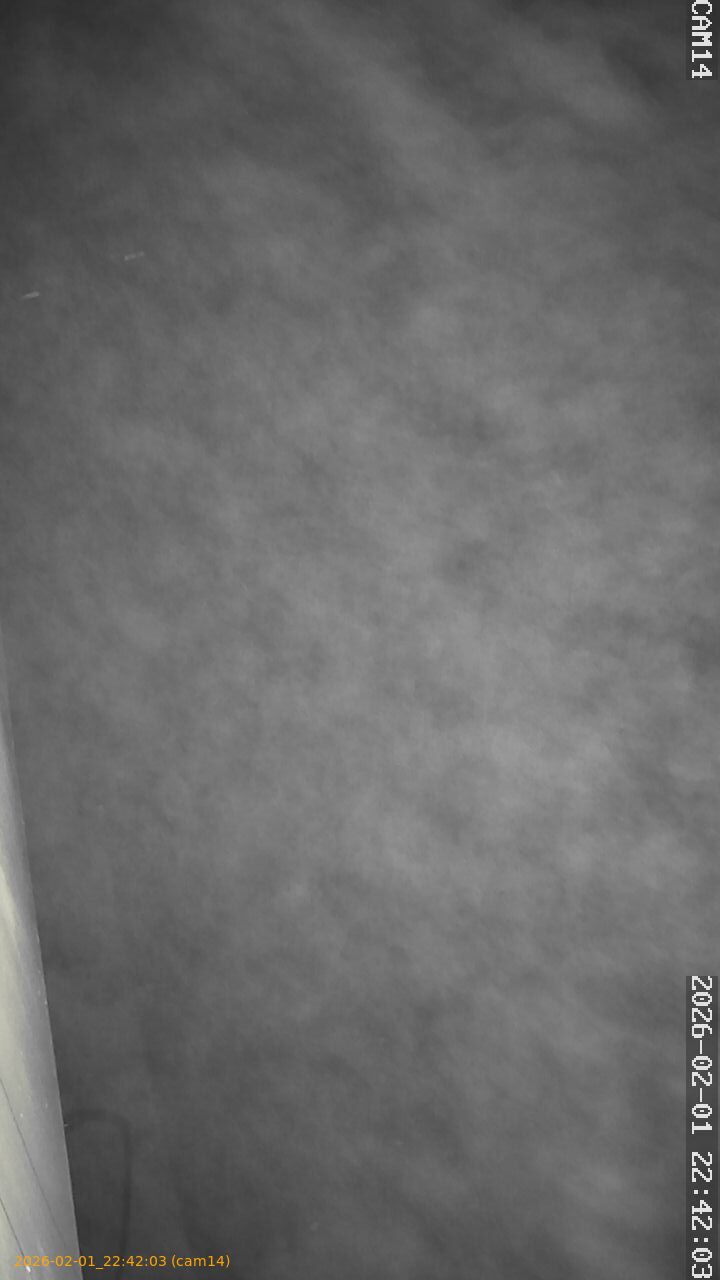 thumbnail_20260201224203