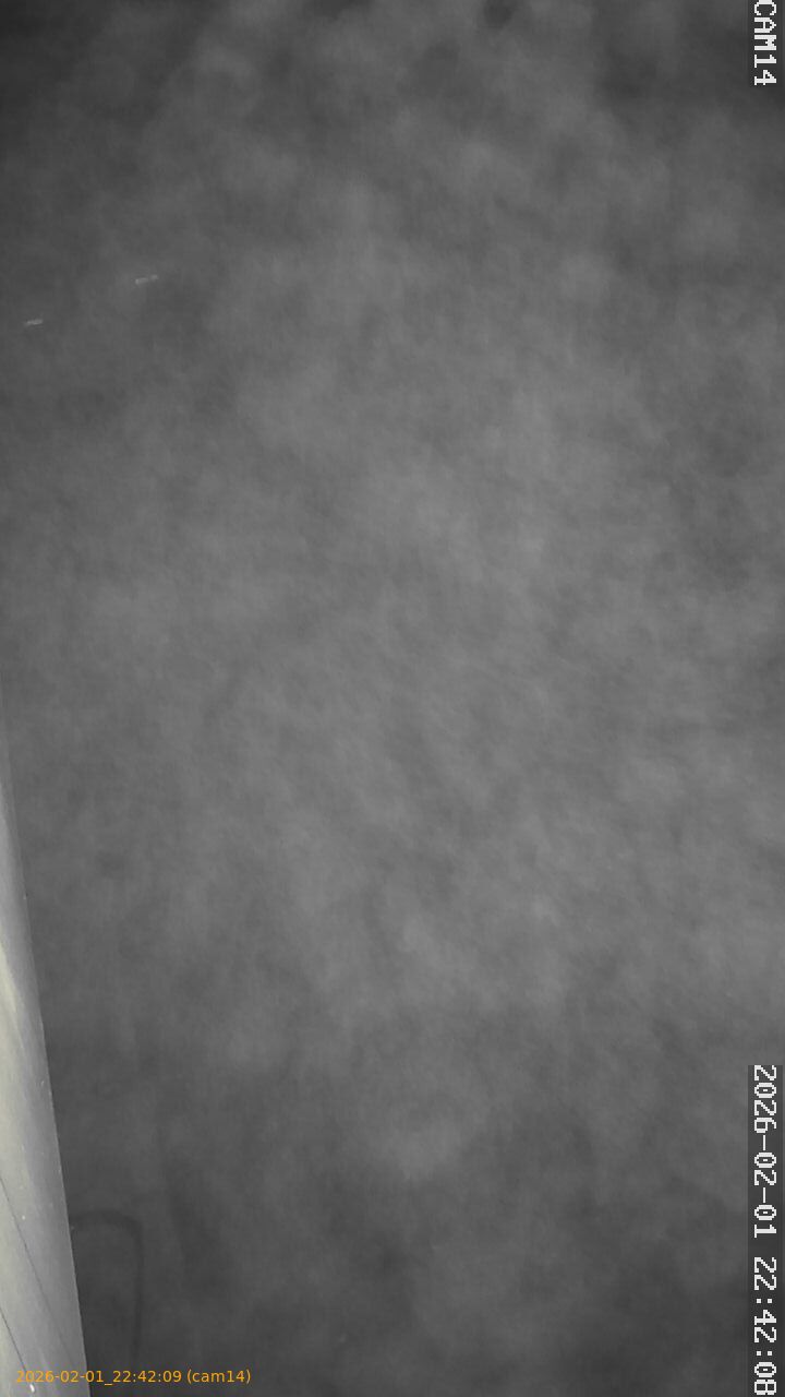 thumbnail_20260201224209