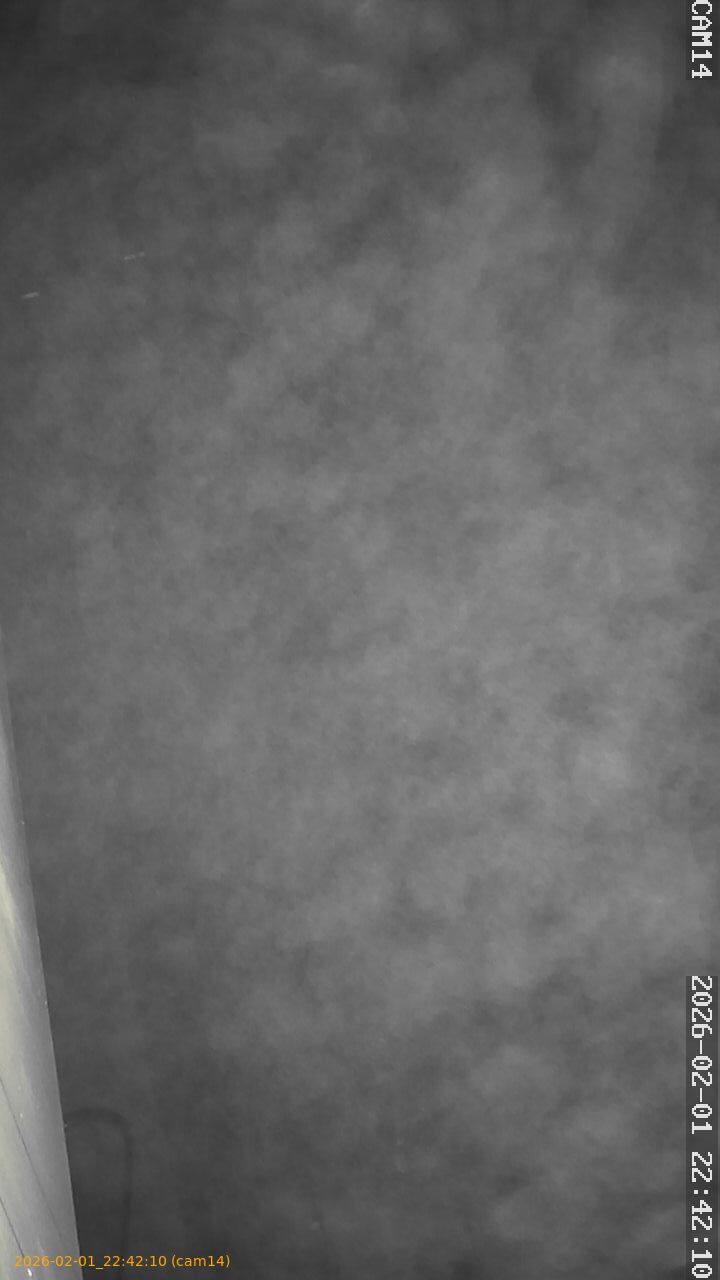 thumbnail_20260201224210