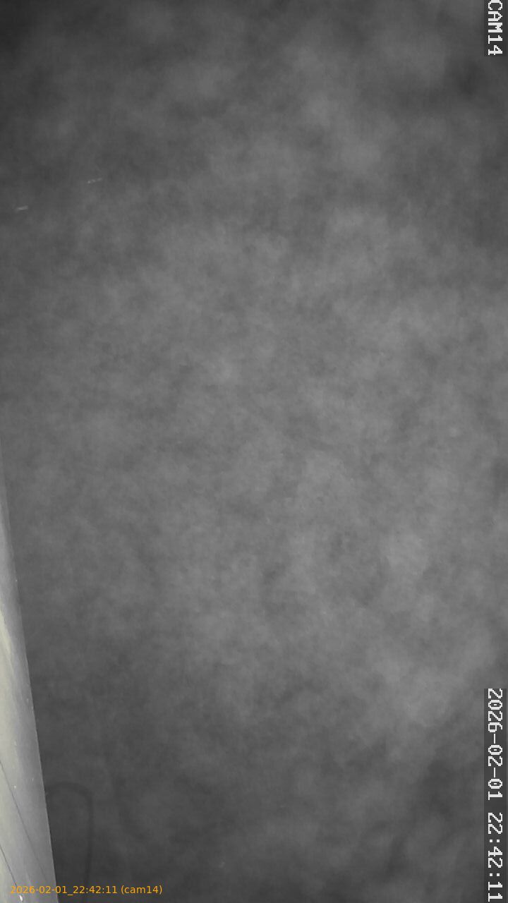 thumbnail_20260201224211