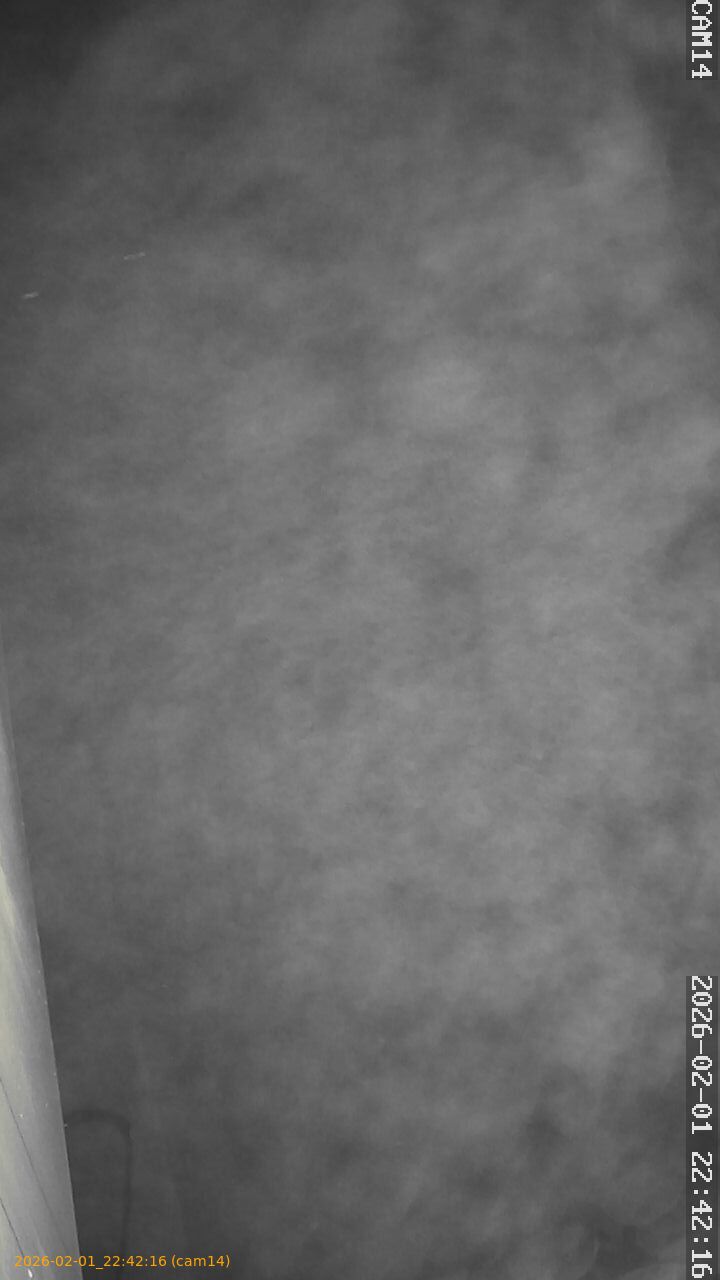 thumbnail_20260201224216