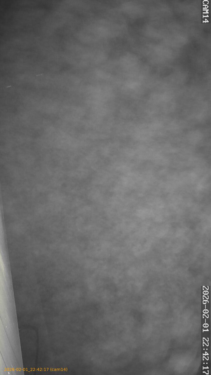 thumbnail_20260201224217