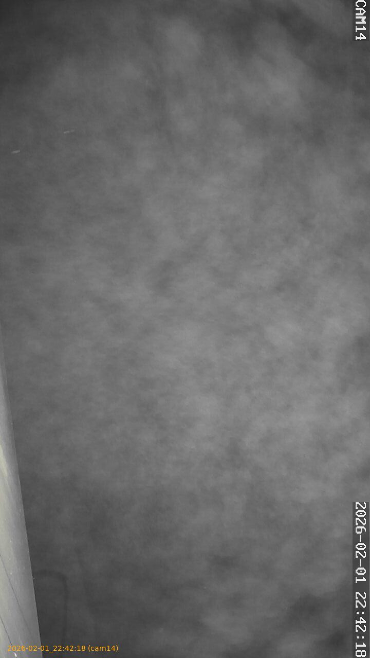 thumbnail_20260201224218