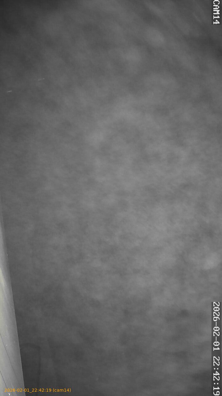 thumbnail_20260201224219