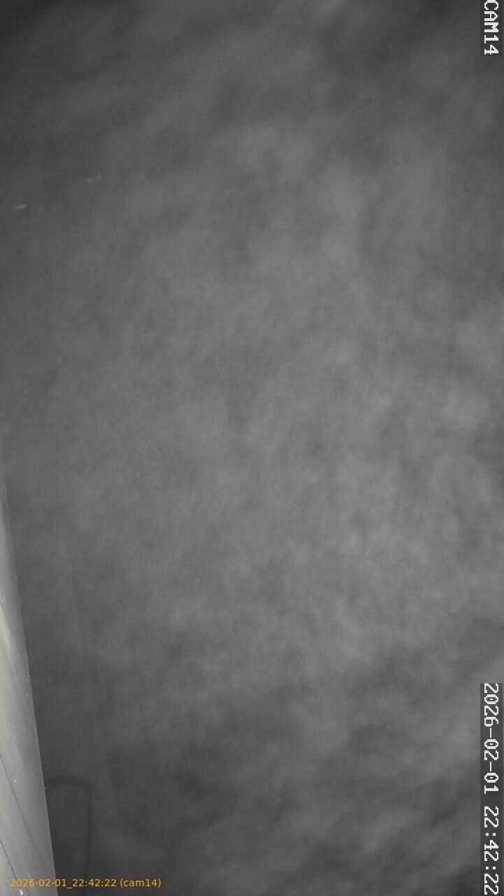 thumbnail_20260201224222