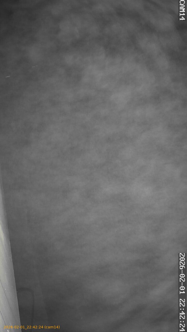 thumbnail_20260201224224