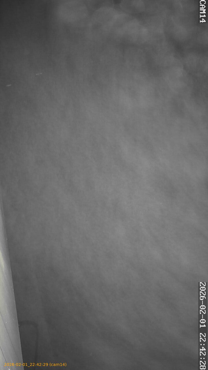 thumbnail_20260201224228