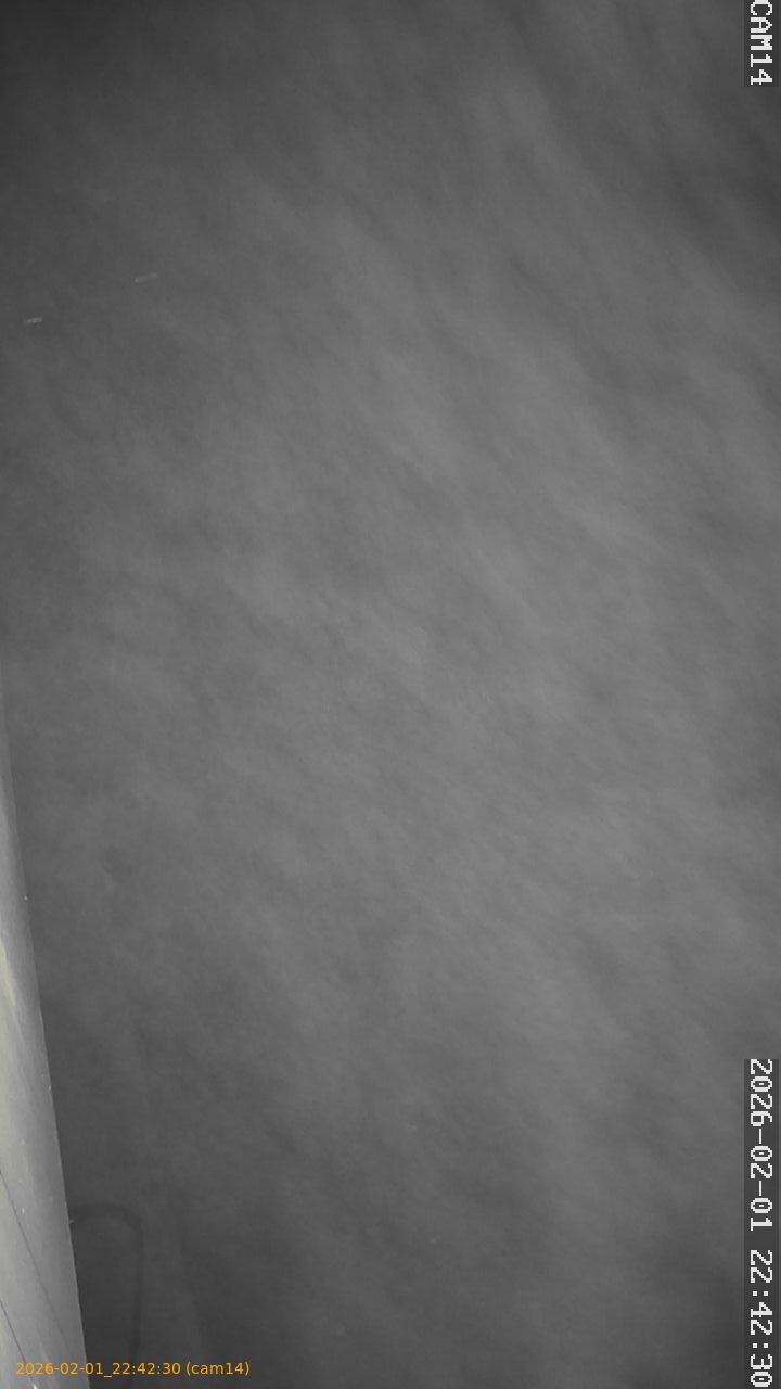 thumbnail_20260201224230