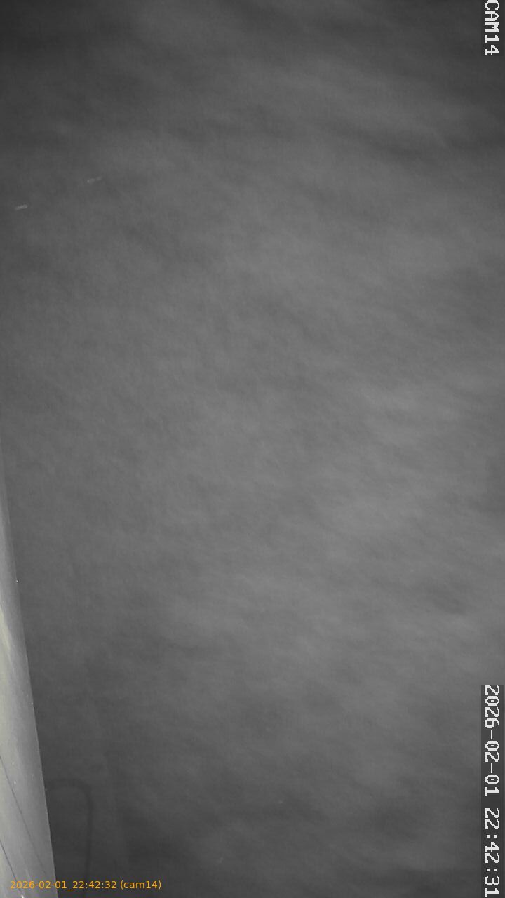 thumbnail_20260201224231