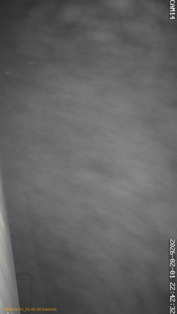 thumbnail_20260201224232