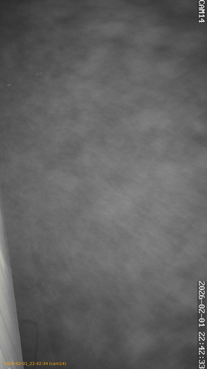 thumbnail_20260201224233