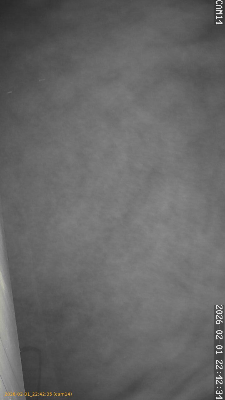 thumbnail_20260201224234