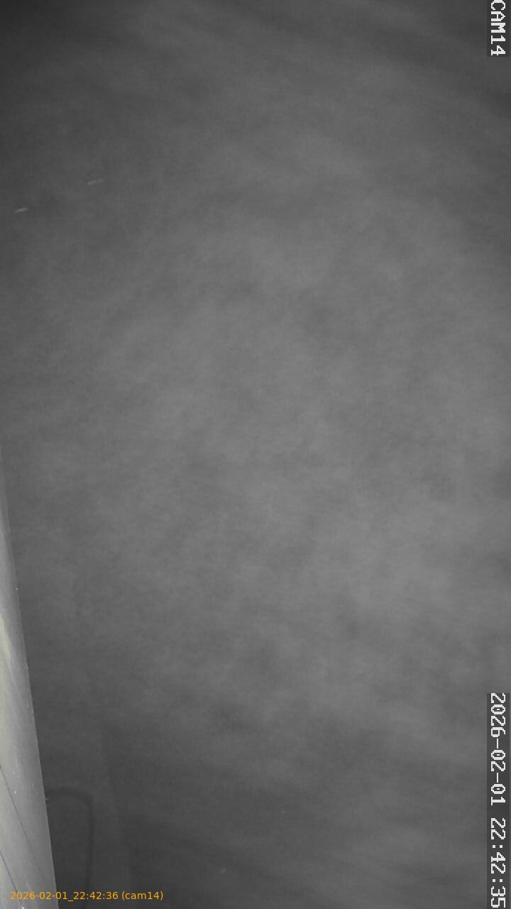 thumbnail_20260201224236