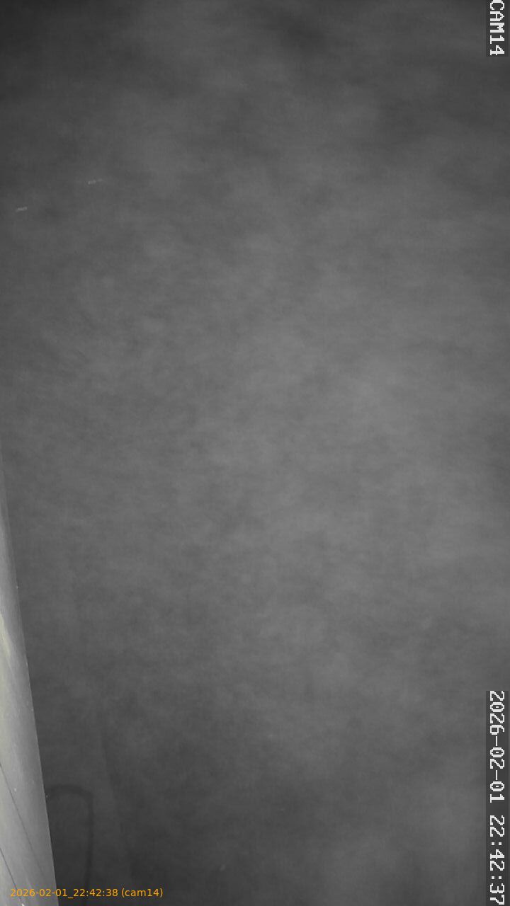 thumbnail_20260201224237