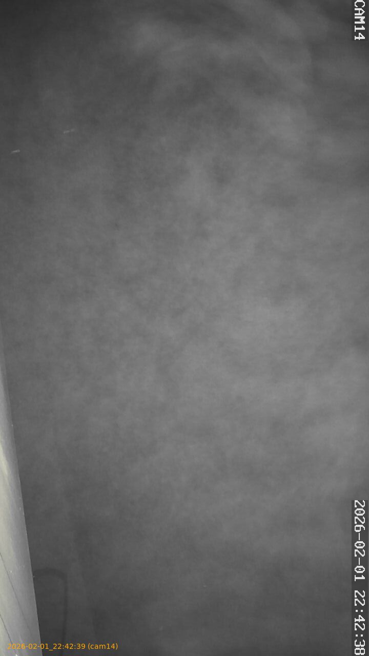 thumbnail_20260201224239