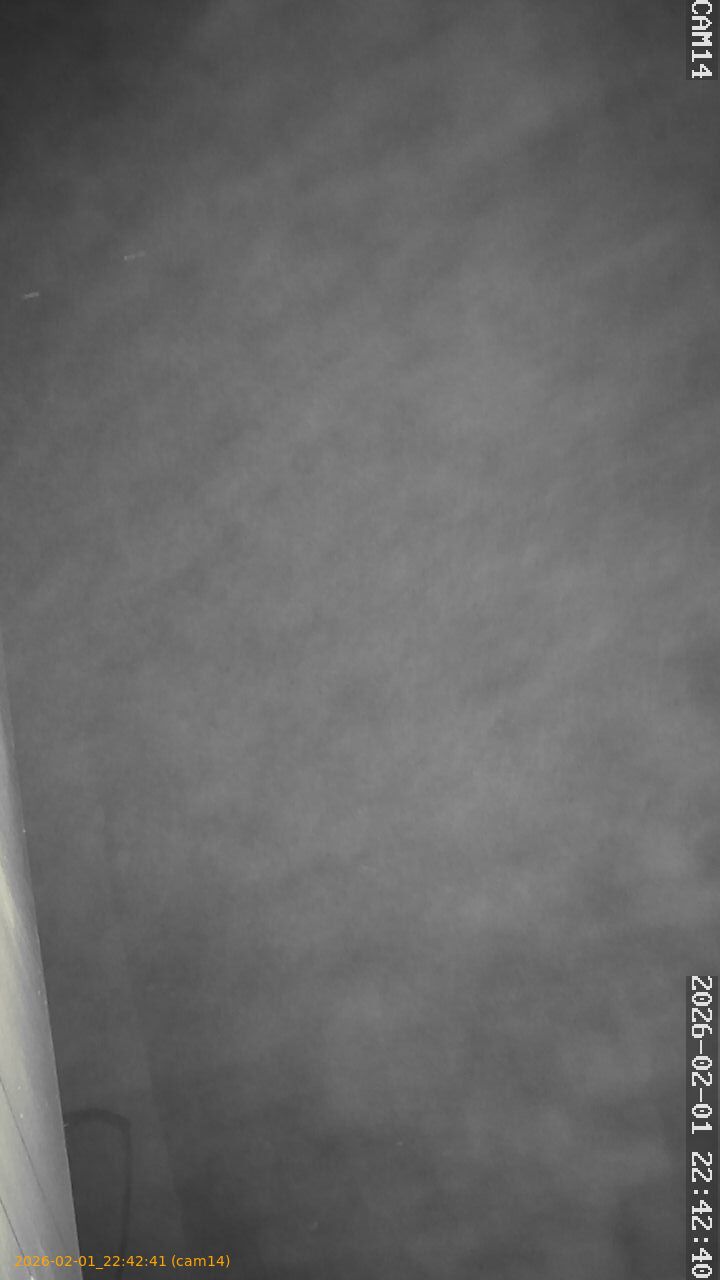 thumbnail_20260201224241