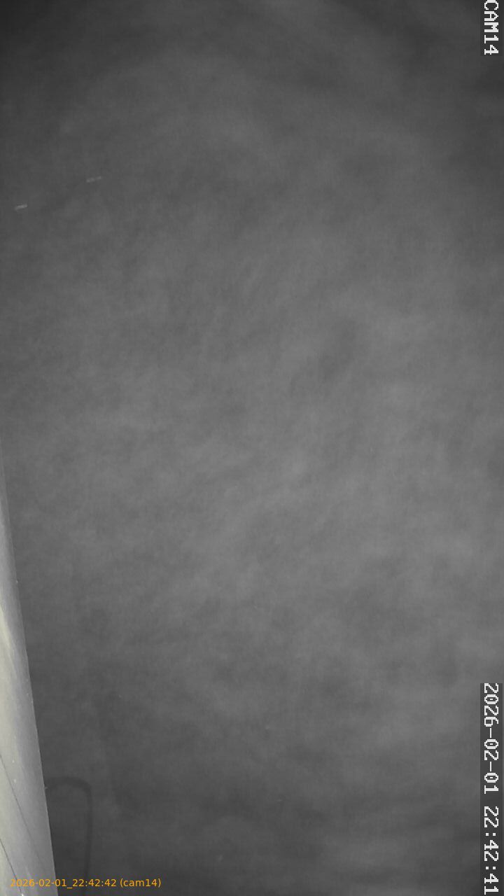 thumbnail_20260201224242