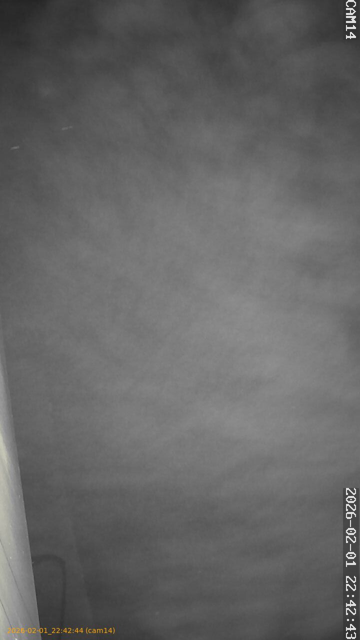 thumbnail_20260201224244