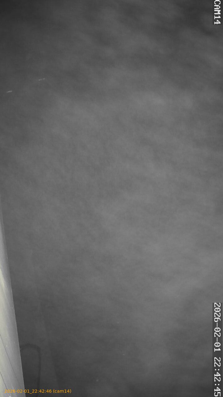 thumbnail_20260201224246