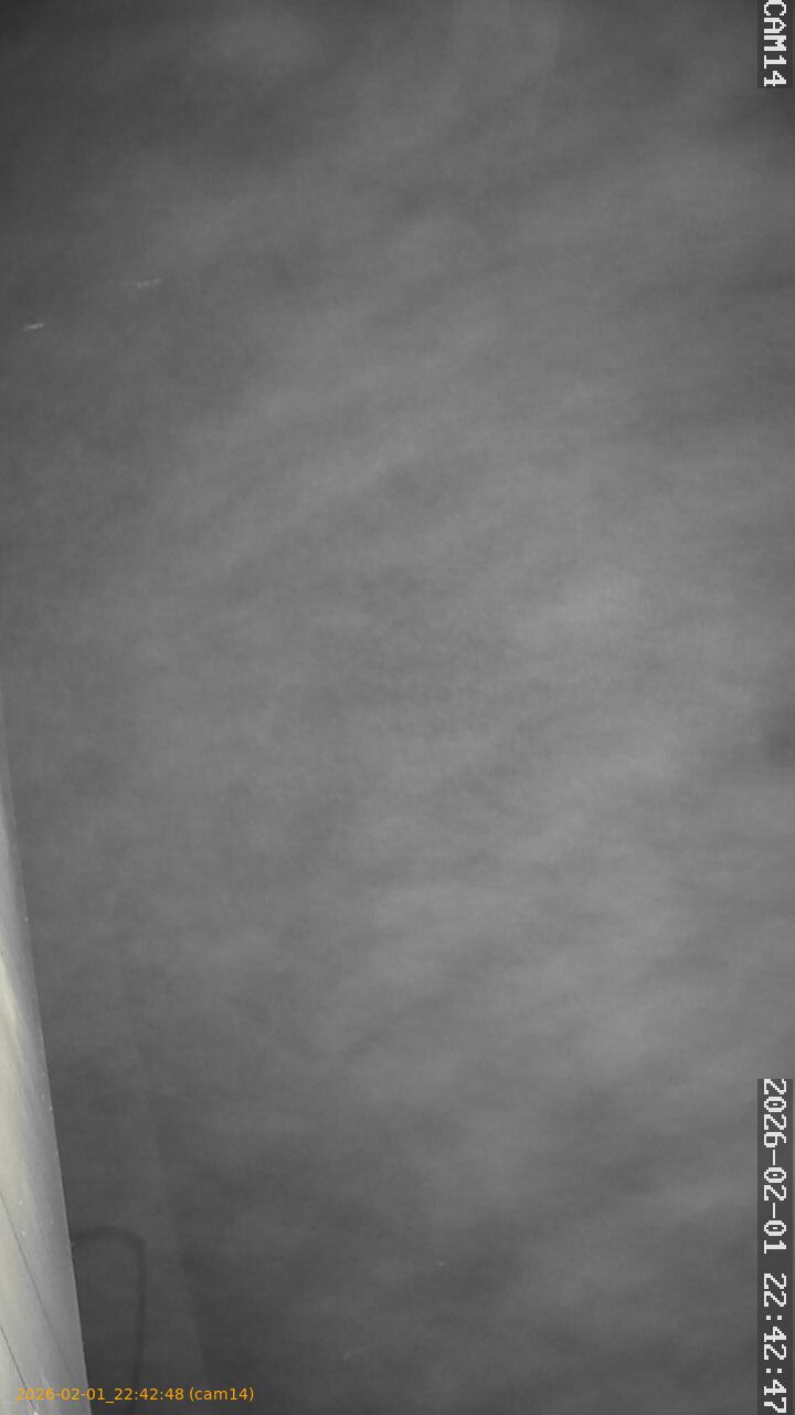 thumbnail_20260201224248