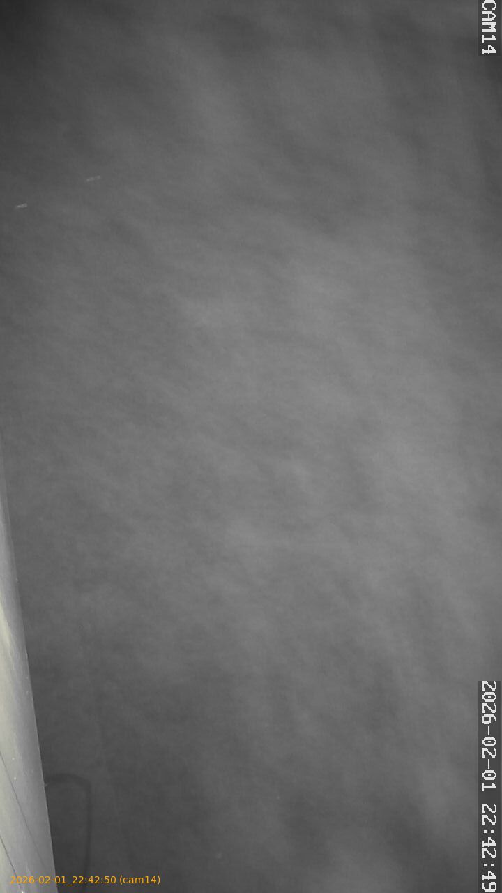 thumbnail_20260201224250