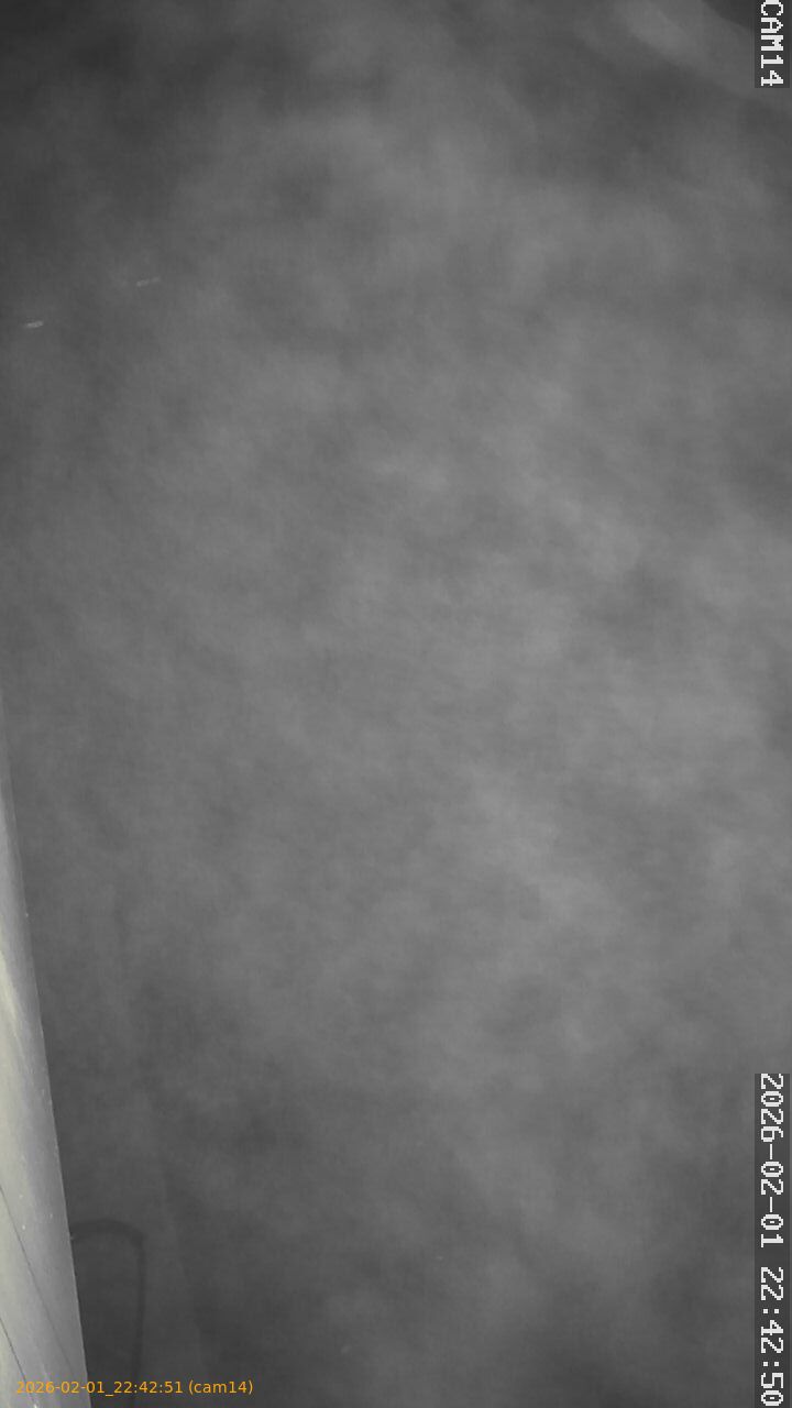 thumbnail_20260201224251