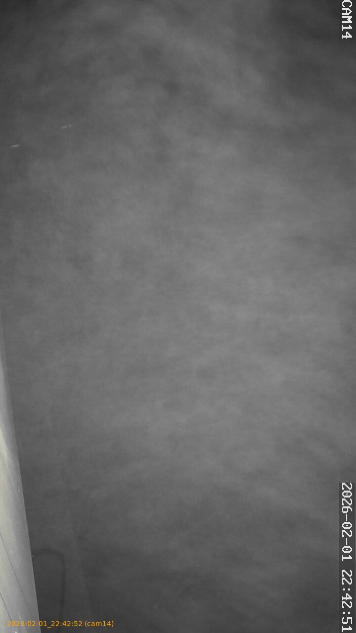 thumbnail_20260201224252