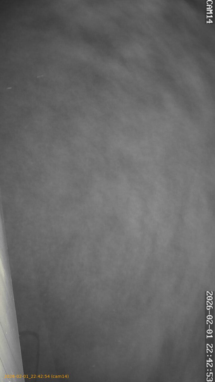 thumbnail_20260201224254