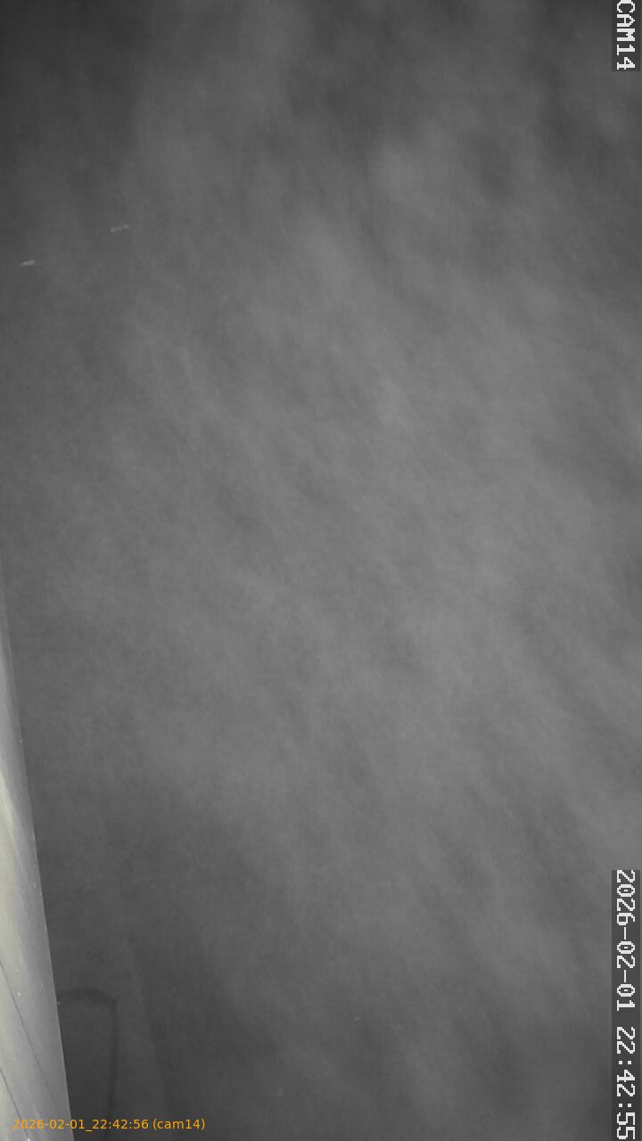 thumbnail_20260201224256