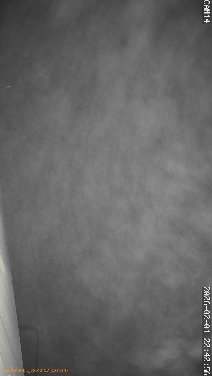 thumbnail_20260201224257