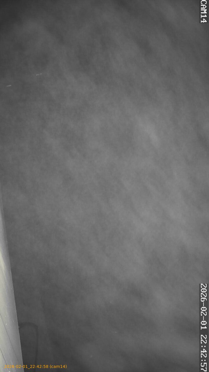 thumbnail_20260201224258