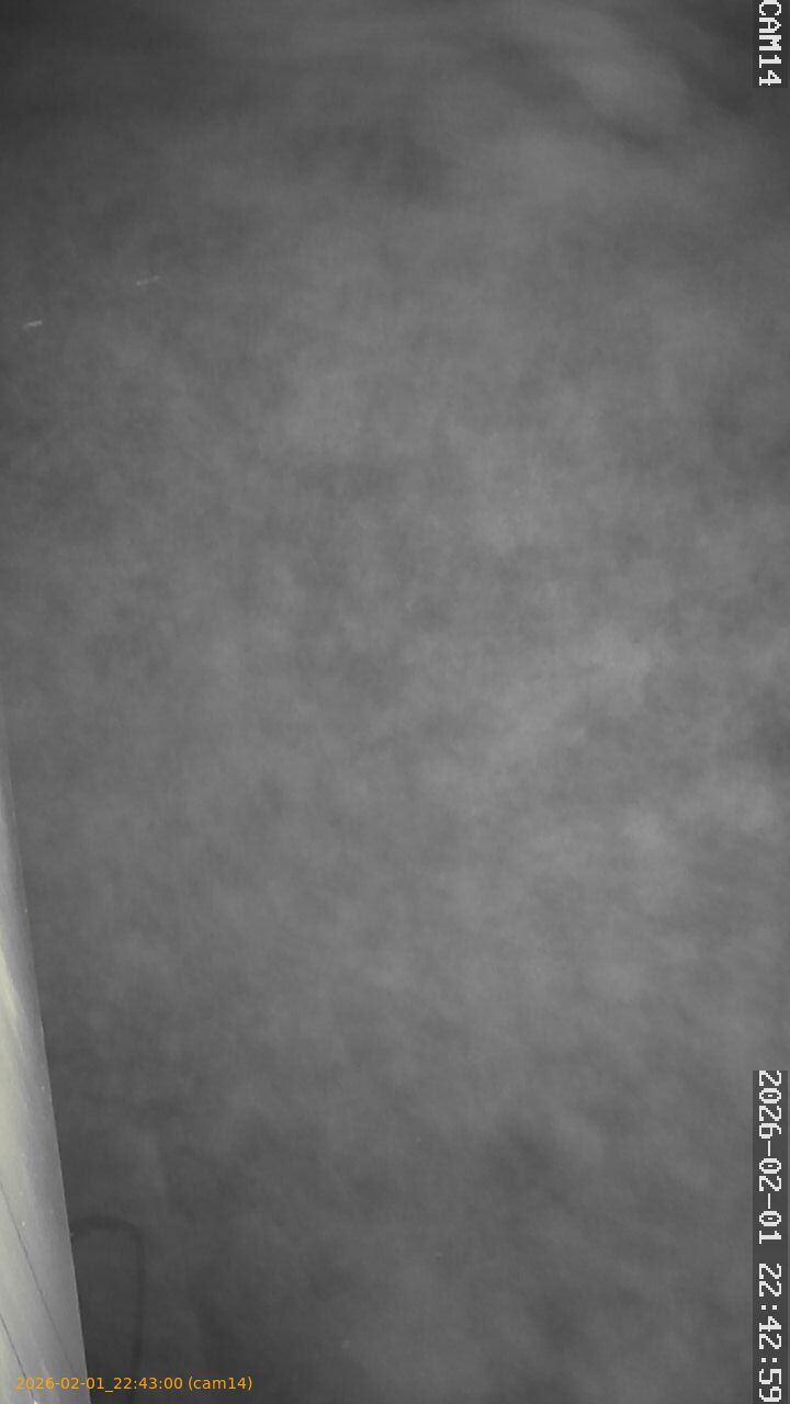 thumbnail_20260201224300