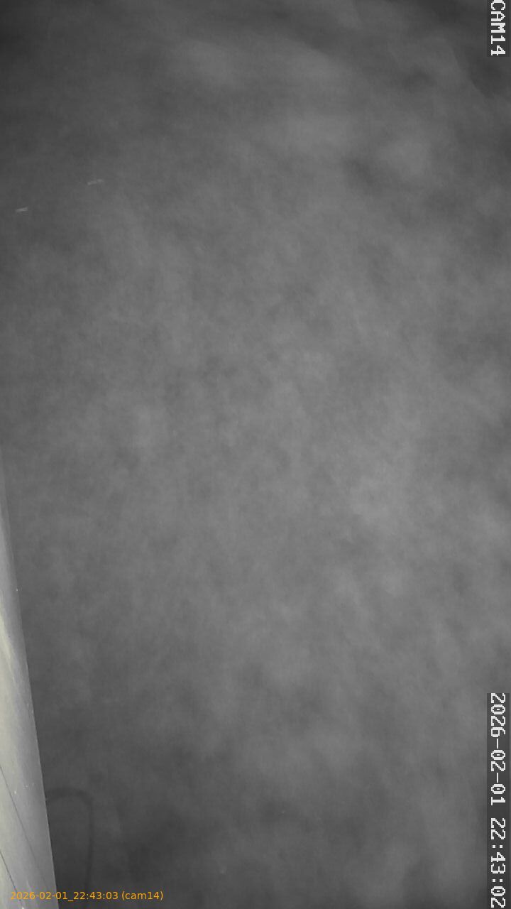 thumbnail_20260201224303