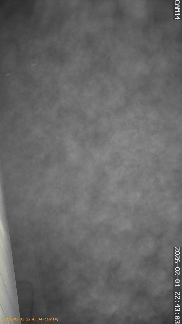 thumbnail_20260201224304