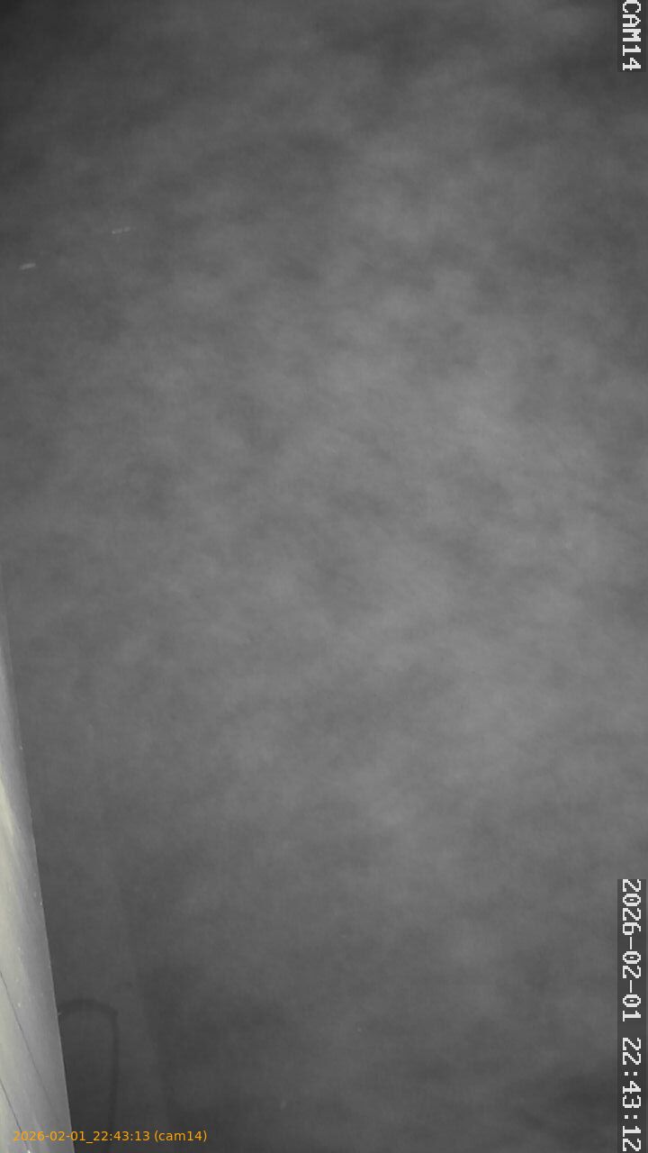 thumbnail_20260201224313