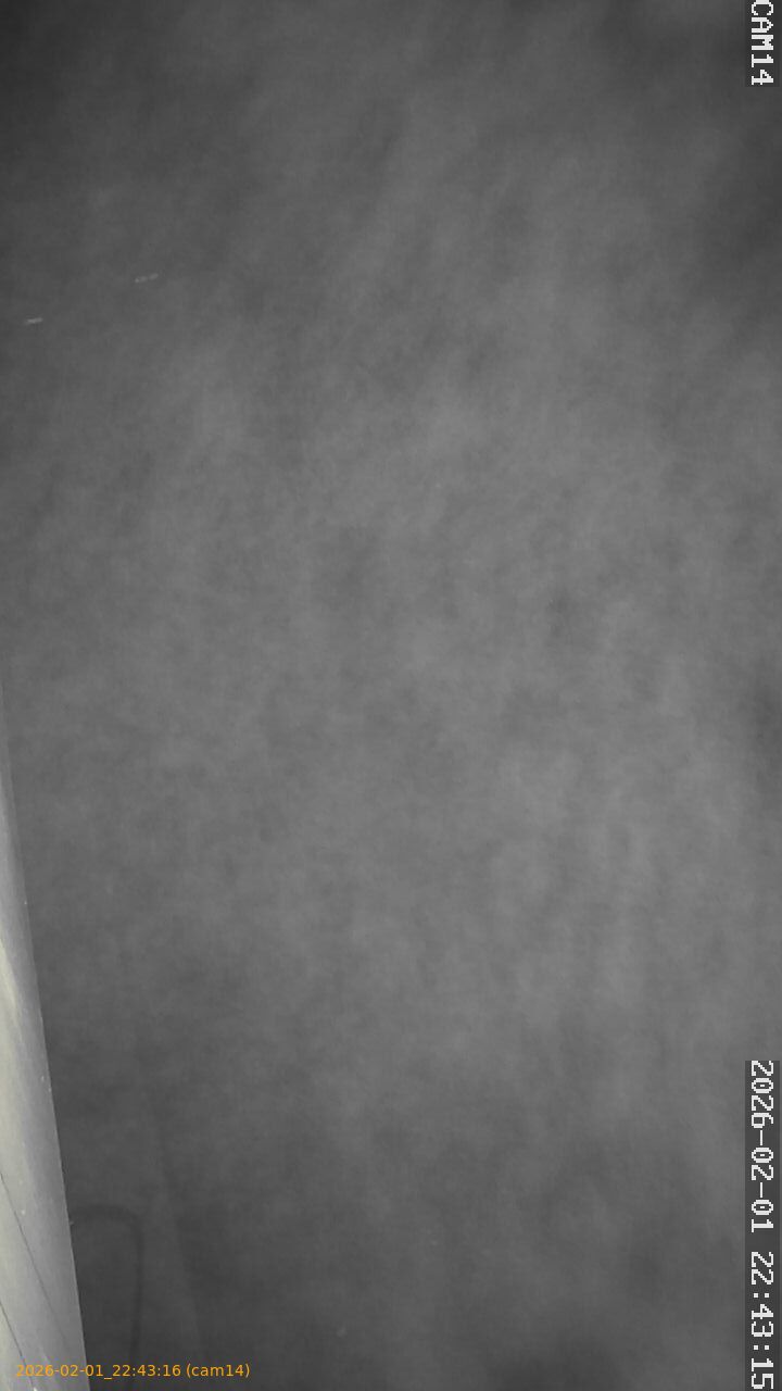 thumbnail_20260201224316