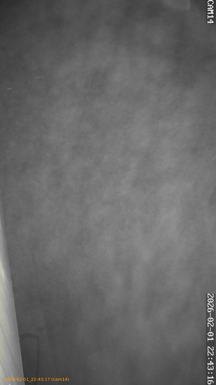 thumbnail_20260201224317