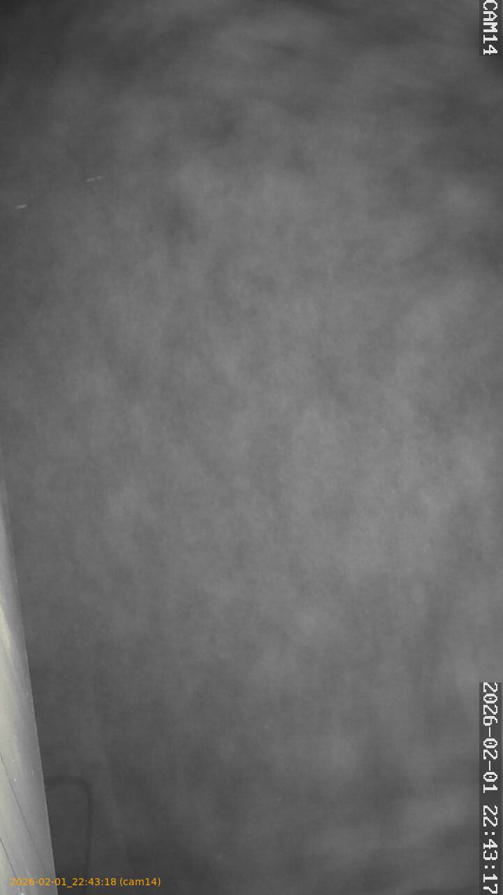 thumbnail_20260201224318