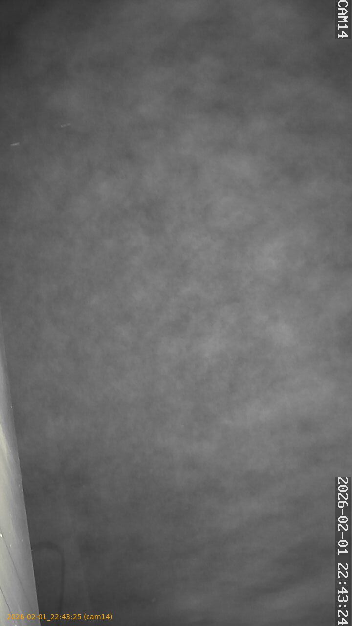 thumbnail_20260201224325