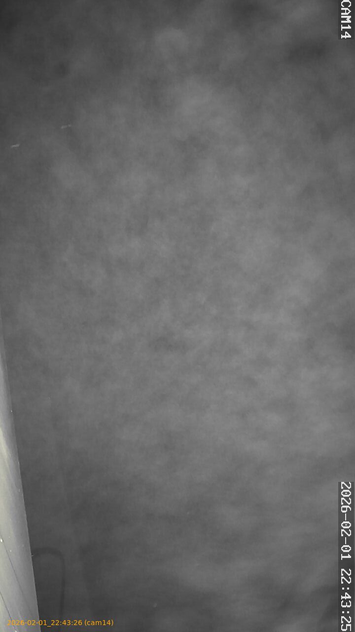 thumbnail_20260201224326