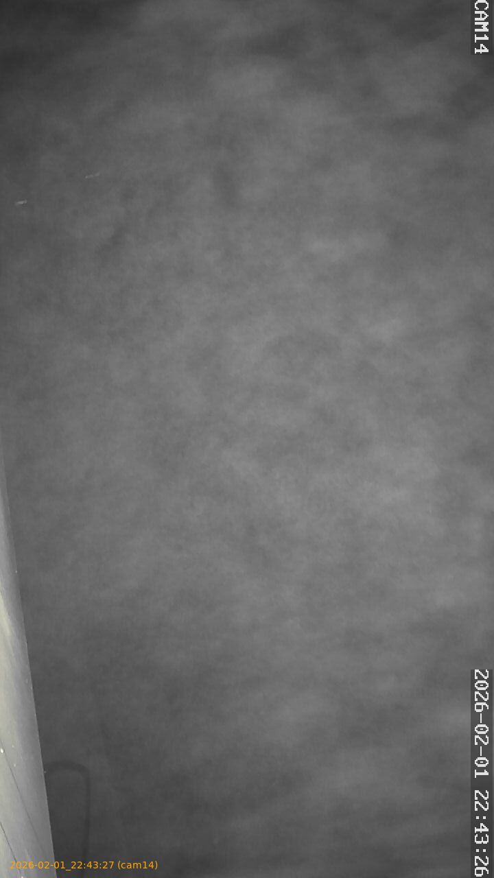 thumbnail_20260201224327