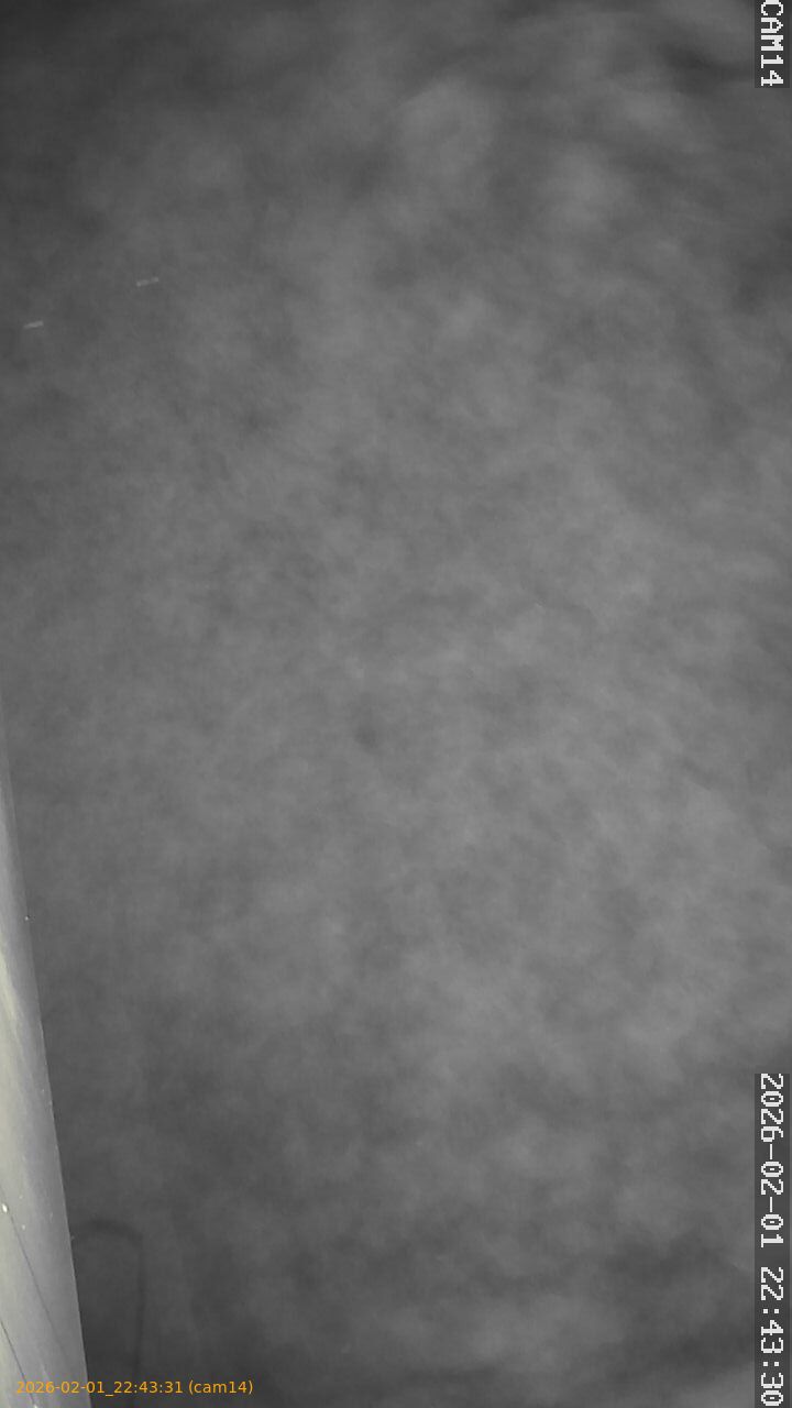 thumbnail_20260201224331