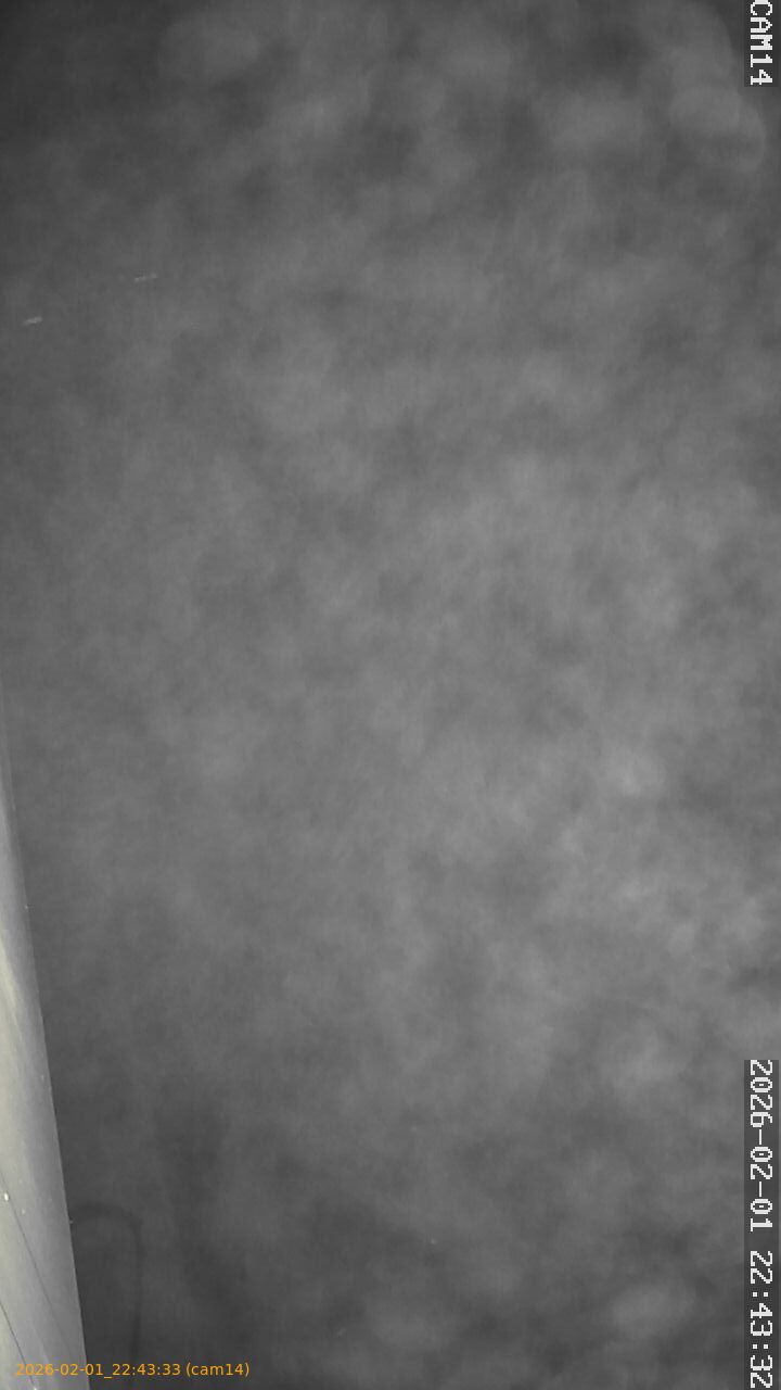 thumbnail_20260201224333