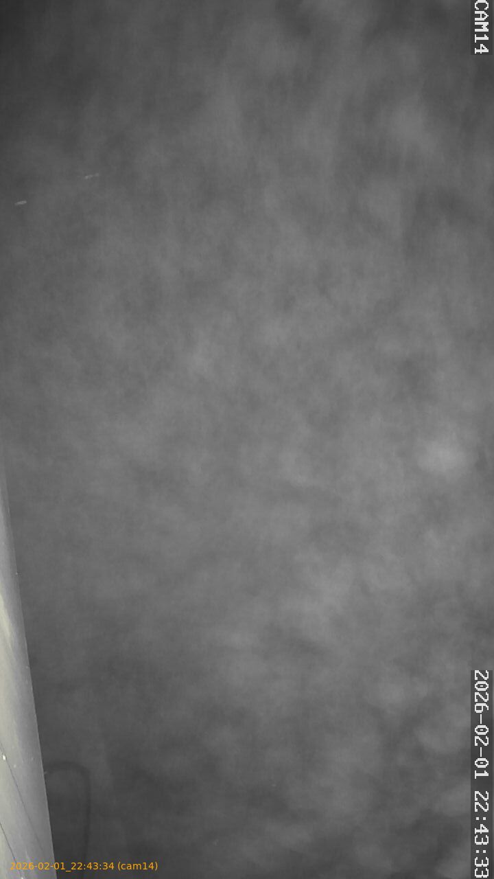 thumbnail_20260201224334