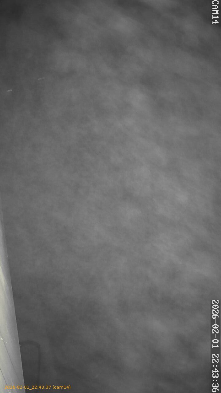 thumbnail_20260201224337