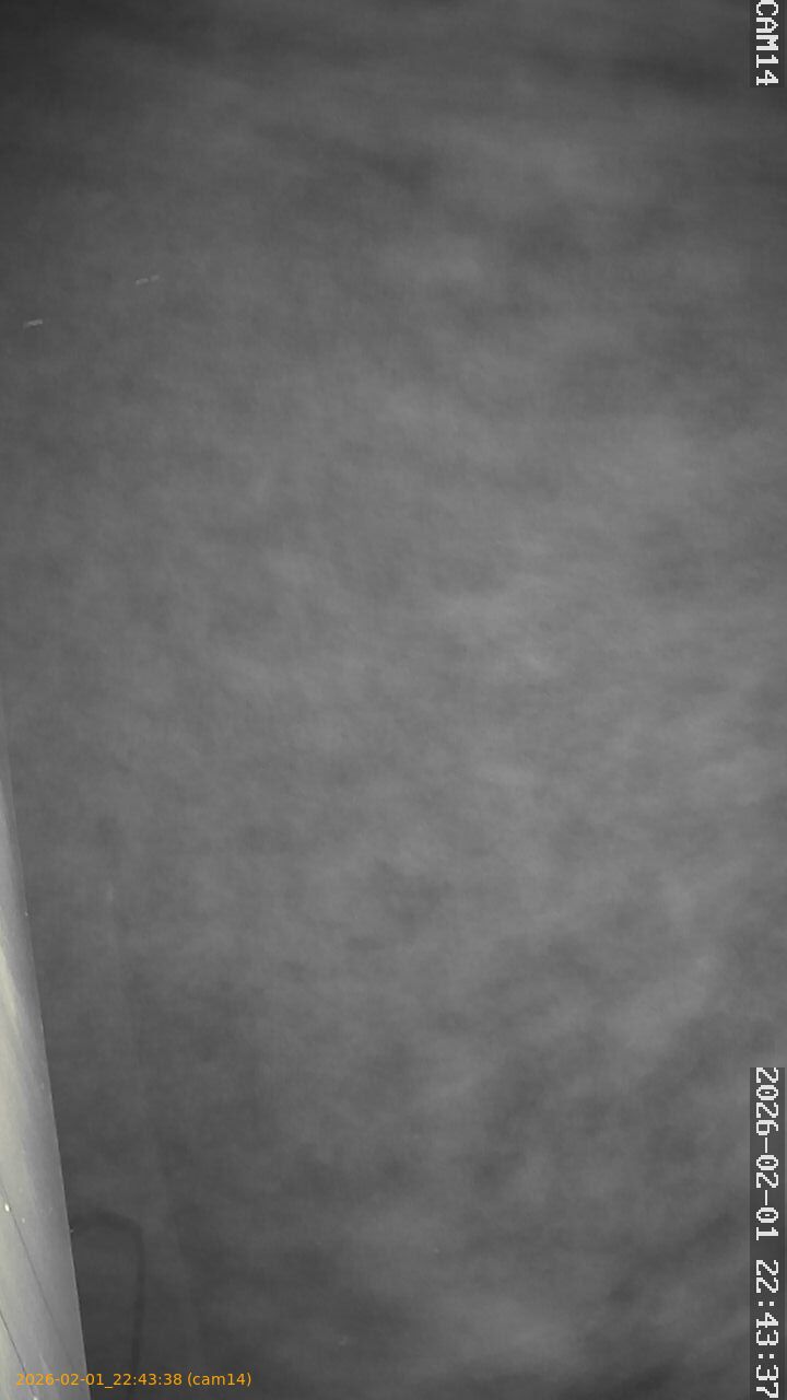 thumbnail_20260201224338