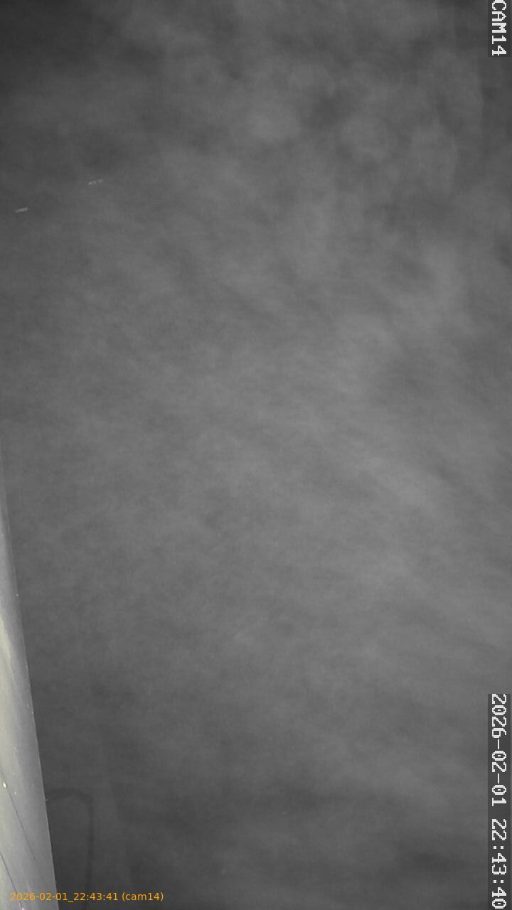 thumbnail_20260201224341