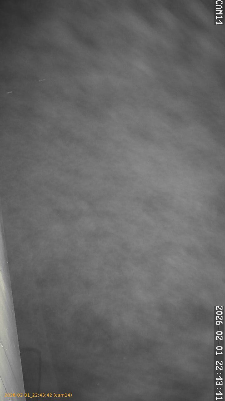 thumbnail_20260201224342