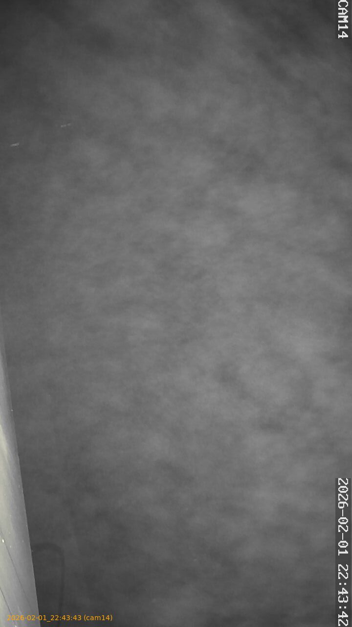 thumbnail_20260201224343