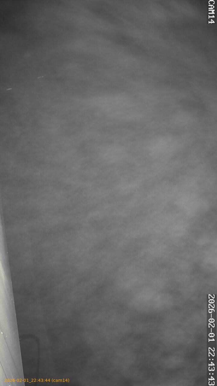 thumbnail_20260201224344